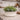 Distressed White Bowl