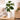 Aveline Textured White Vase