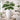Aveline Matte White / Black Ceramic Vase