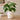 Elio Matte White Ceramic Vase