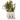 White Pottery Vase